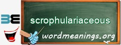 WordMeaning blackboard for scrophulariaceous